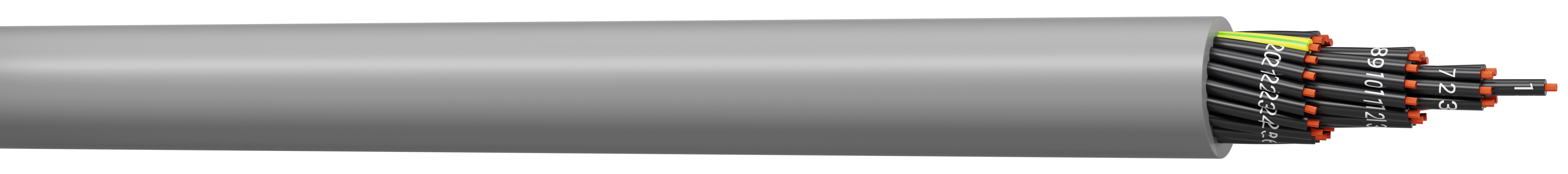 1040075C50_其它