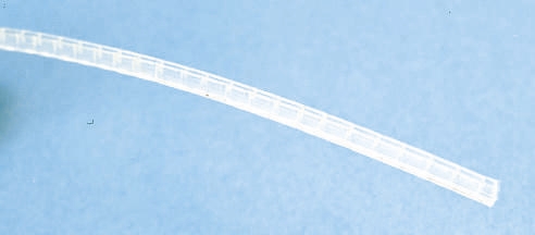 SNGS-1 NATUREL_其它