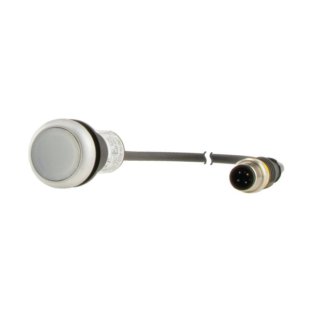 185556 C22-DL-W-K10-24-P1_其它