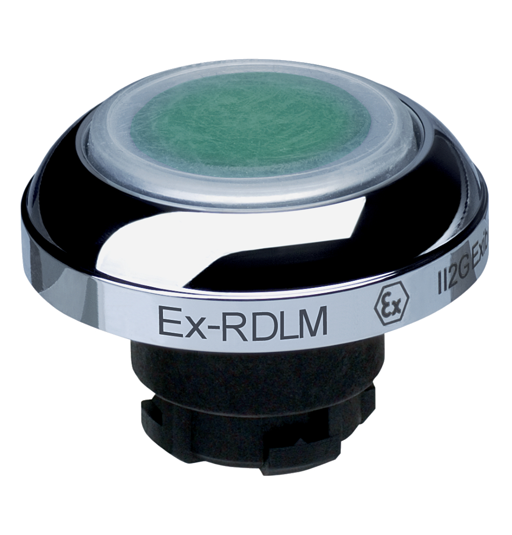 EX-RDLMGN_其它