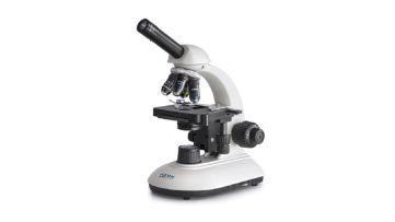 Compound Microscope