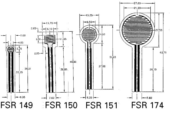 LF189555-10