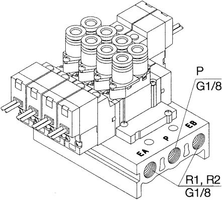 LF234527-10