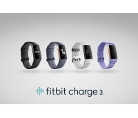 fitbit fb409gmbk