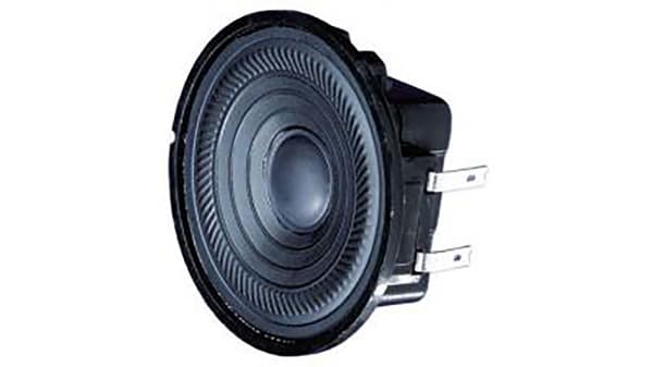 2w speaker