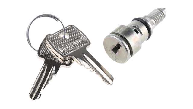 Legrand Key Barrel with 1242E barrel For Use With Marina Enclosure, Atlantic Enclosure | 0 368 25