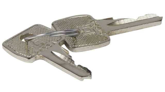 Legrand Key with 2433A barrel | 0 365 45