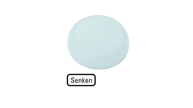 Eaton White Indicator M22 Series | 218411 M22-XL-W-D18