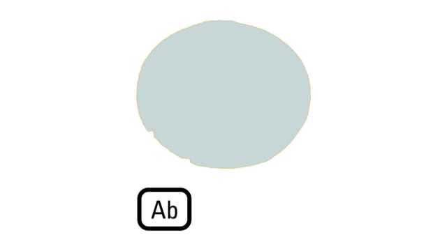 Eaton Button Lens for Use with M22 Pushbuttons | 218318 M22-XDL-W-D4