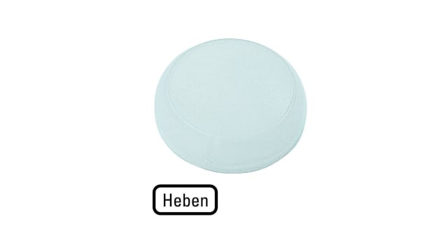 Eaton White Indicator M22 Series | 218410 M22-XL-W-D17