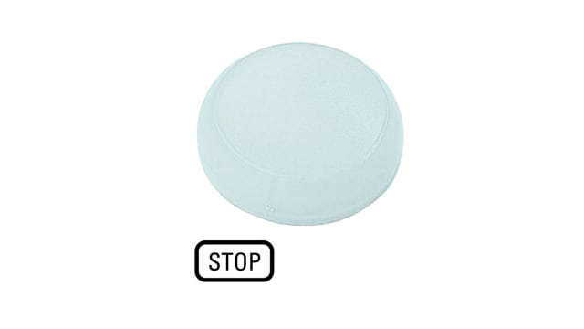 Eaton White Indicator M22 Series | 218413 M22-XL-W-GB0