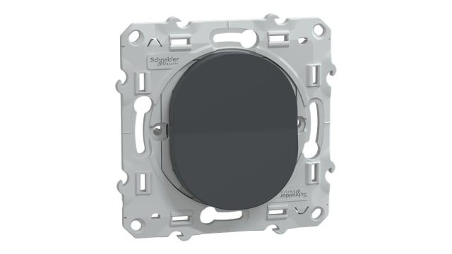 Schneider Electric Anthracite 10 A Ovalis C Series | S340206