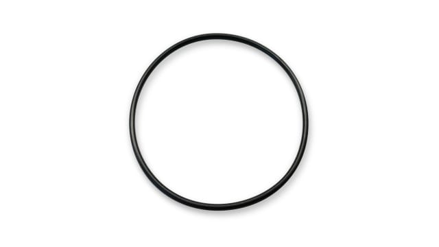 Pfannenberg Polycarbonate O-Ring Gasket O-Ring, 54 mm OD | 28250220000