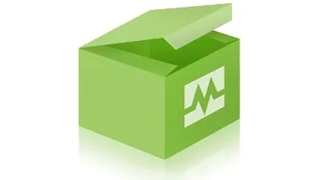 Murrelektronik Limited MSUD Valve Plug for Solenoid Valve | 7004-11081-6160500