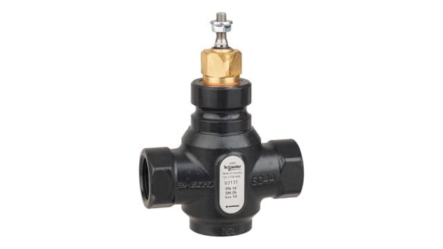 Schneider Electric Cast Iron Globe Valve 7211732000, Rp Internal 399.9 kPa | 7211732000