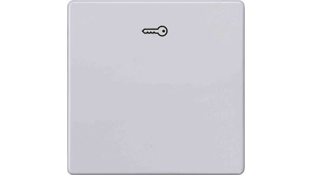 Siemens, Latching On-Off Rocker Switch Surface | 5TG6248