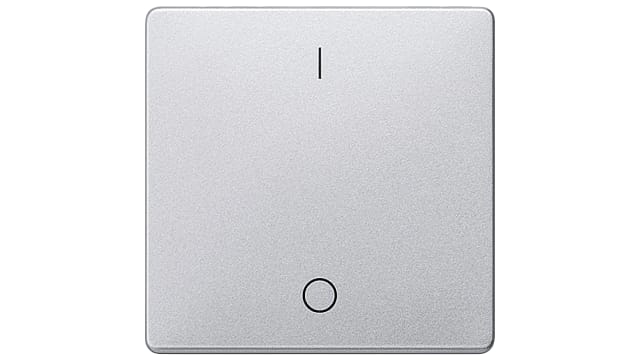 Siemens, Latching On-Off Rocker Switch Surface | 5TG6242