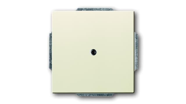 ABB 2CKA Series, Cover Plate Flush | 2CKA001710A3145