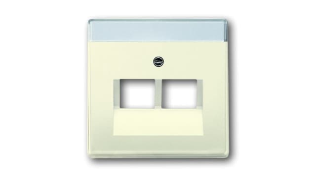 ABB 2CKA Series, RJ45 Cover Plate Flush | 2CKA001710A3146