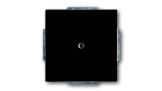 ABB 2CKA Series, Cover Plate Flush | 2CKA001710A3612