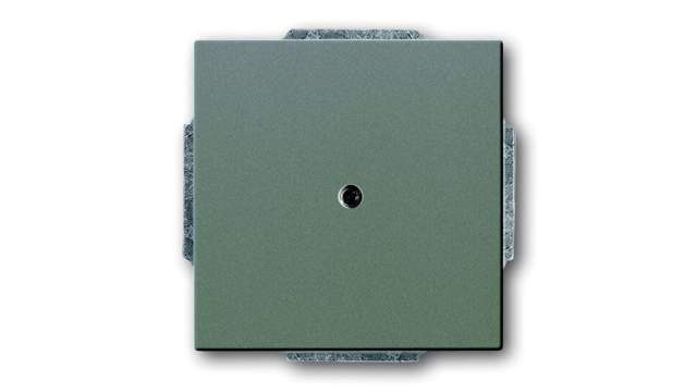 ABB 2CKA Series, Cover Plate Flush | 2CKA001710A3844