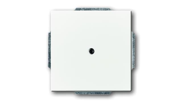 ABB 2CKA Series, Cover Plate Flush | 2CKA001710A3994