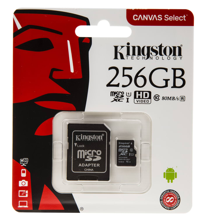 Kingston 256 GB SD Card