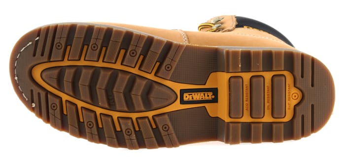 dewalt explorer