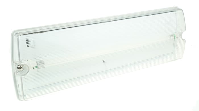 BAES Fluorescent RS PRO, luminosité 200 lm, autonomie 3h