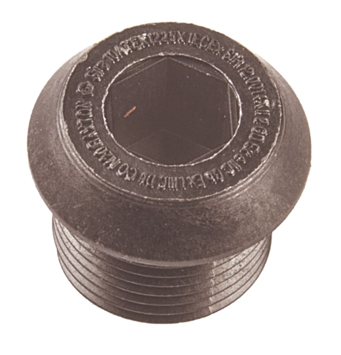 RS PRO Stopping Plug, M20, Glass Filled Nylon 66, 25mm Diameter, Threaded