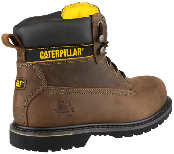Holton caterpillar 2025