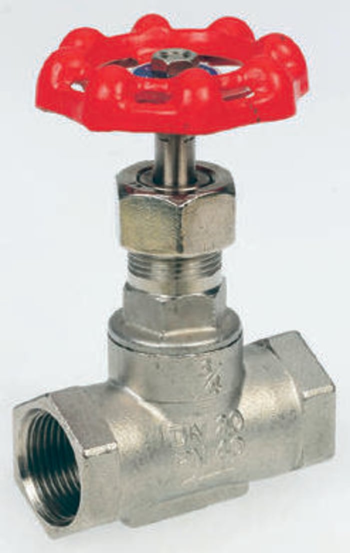 Robinet à soupape RS PRO, BSP 2" 32 bars Acier inoxydable