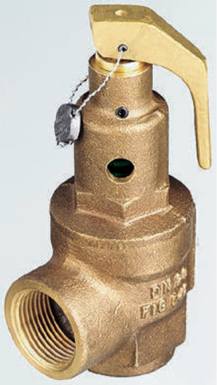 Nabic Valve Safety Products 4bar Pressure Relief Valve With Female BSP 1 in BSP Female Connection