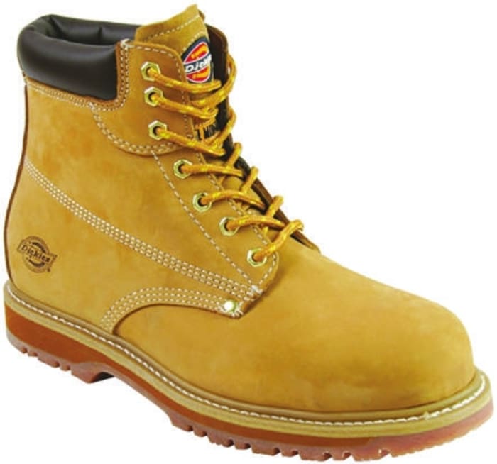 Dickies Cleveland goodbye Safety Boots