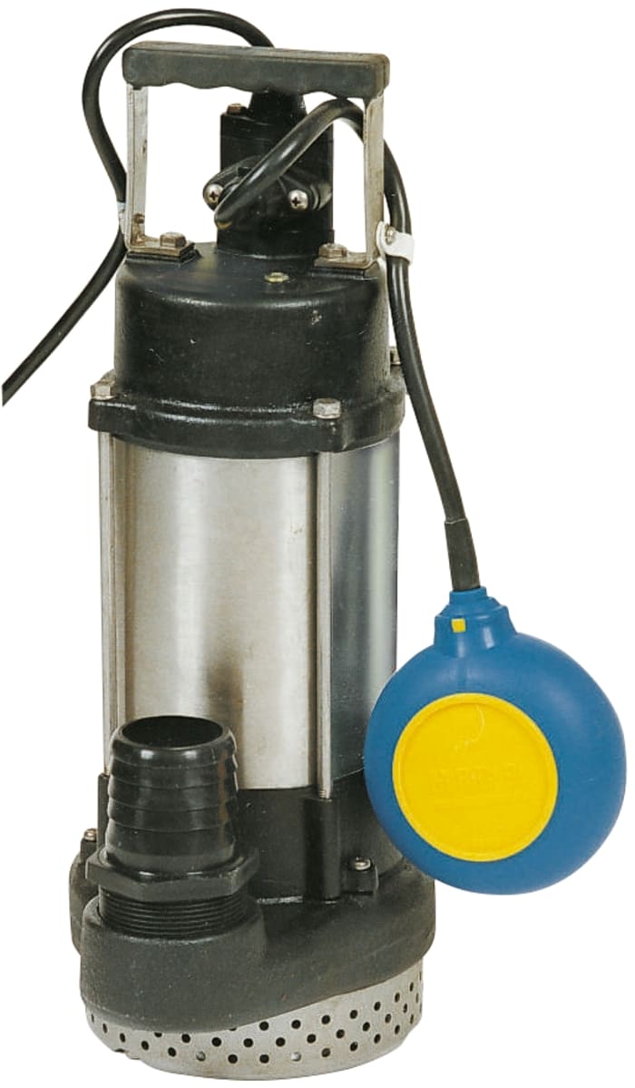 W Robinson And Sons 110 V Direct Coupling Submersible Submersible Water Pump, 240L/min
