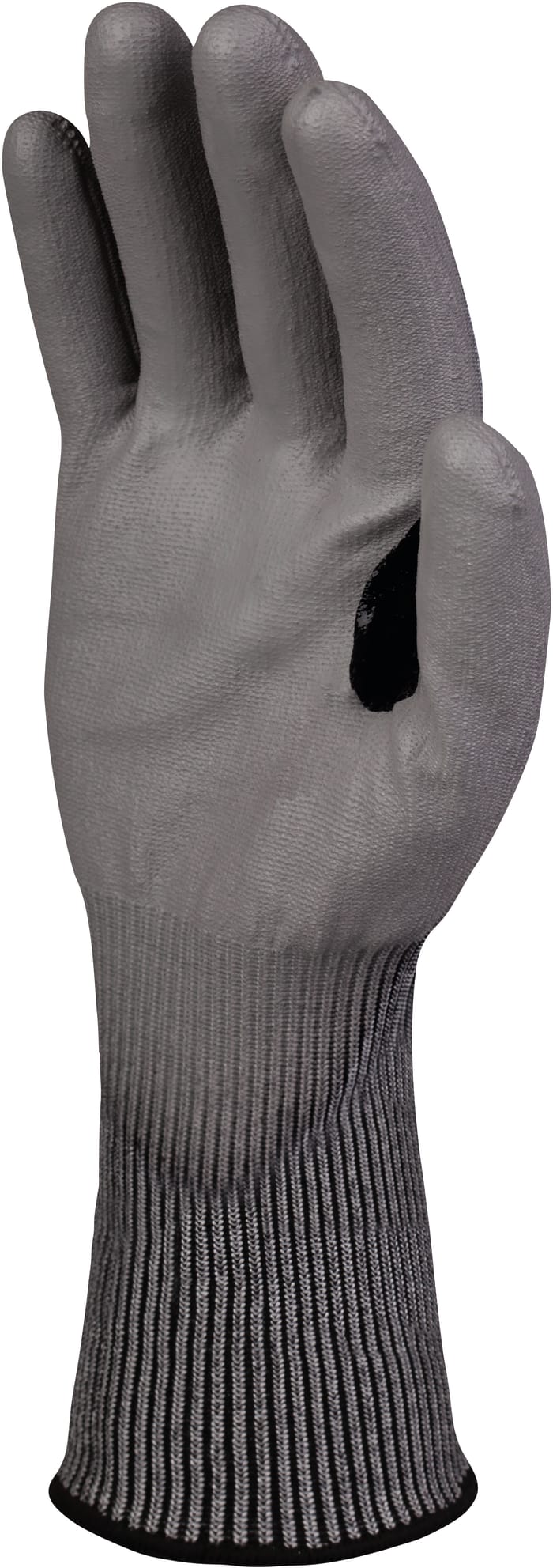R7030799-02