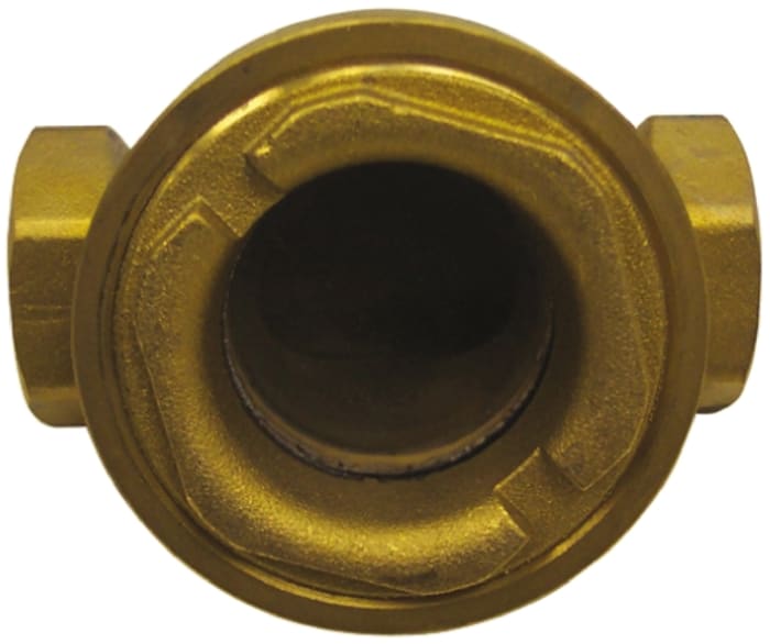 Clapet antiretour en Laiton RS PRO, 1/2pouce, 12 bar