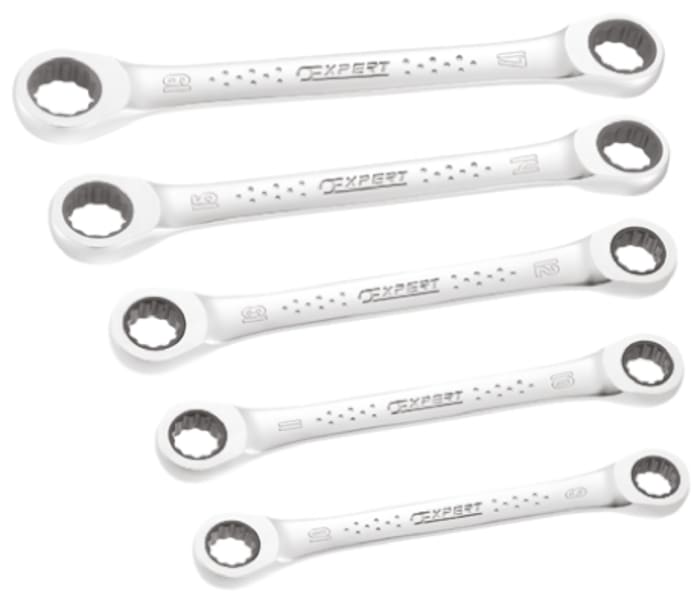 Expert 5-Piece Ring Spanner Set, 8 x 10; 10 x 11; 12 x 13; 14 x 15; 17 x 19 mm, Chrome Vanadium Steel