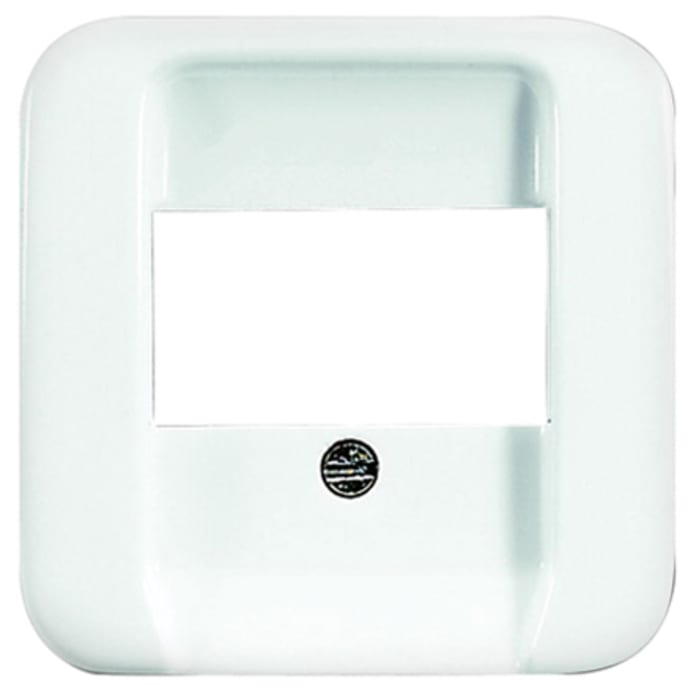 Data telephone cover plate alpine white
