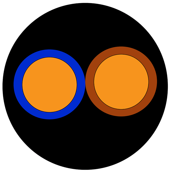 Câbles d'alimentation RS PRO  2x2,5 mm²BS EN 50525, Noir, 100