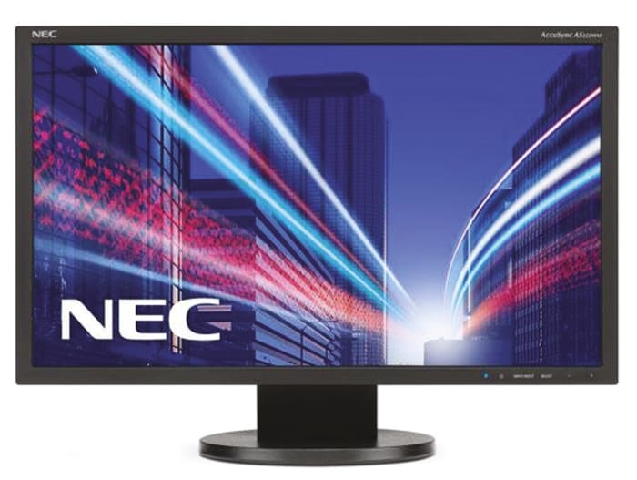 Écran PC LED NEC MultiSync EA193Mi, 19pouce