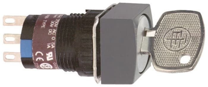 Schneider Electric 2 Position , 110 V dc, 250V ac