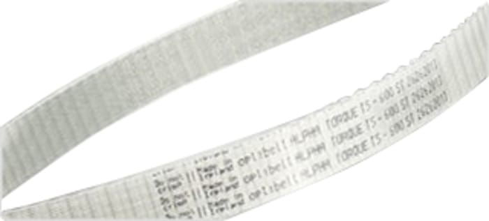 T10 belt hotsell