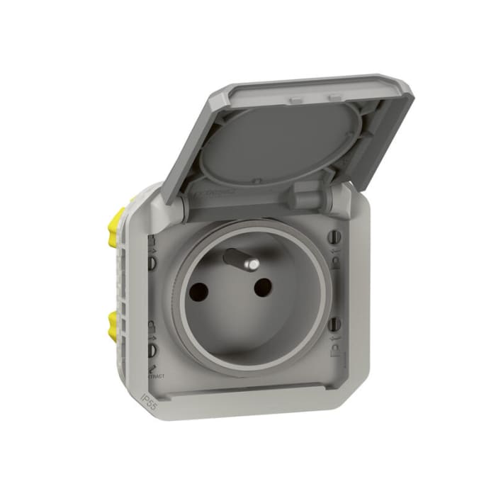 Legrand Grey Plug Socket, 2 Poles, NF Socket