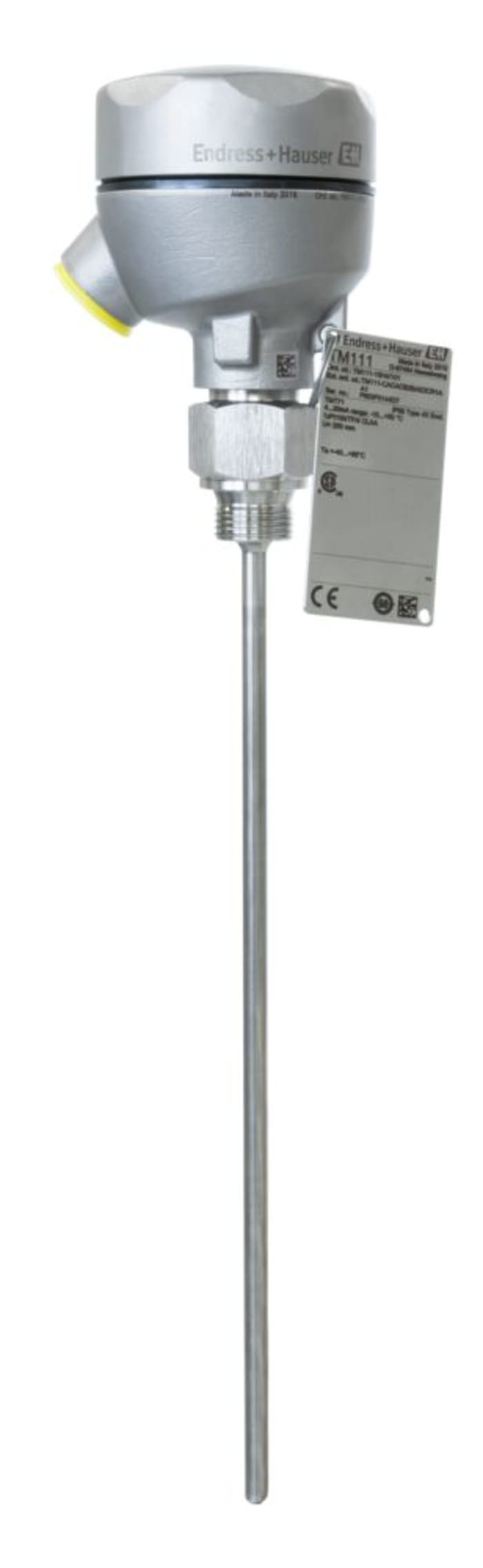 TM111-NDCCCA4GAC3AH4BA1 Endress+Hauser | Sensor RTD PT100 Endress ...