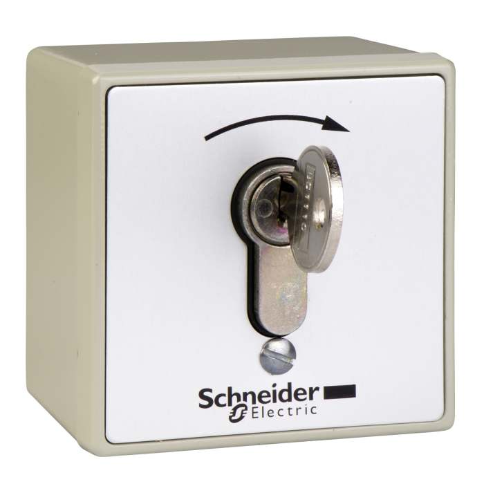 Schneider Electric Spring Return Control Station Switch - SPST, Zinc Alloy, IP54