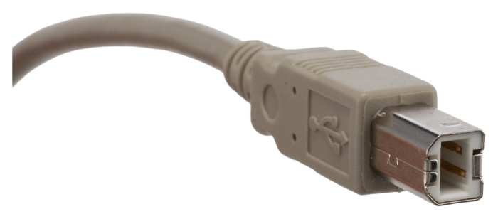 ugsyngpazgv4cdllw31a