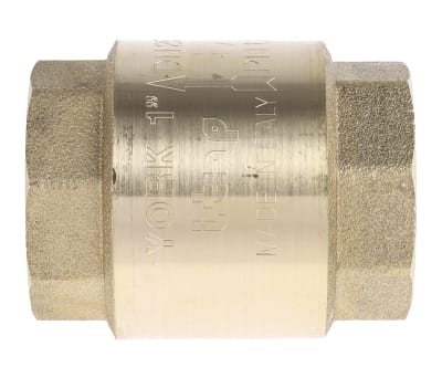 Product image for Spring loaded non return valve,1in BSP