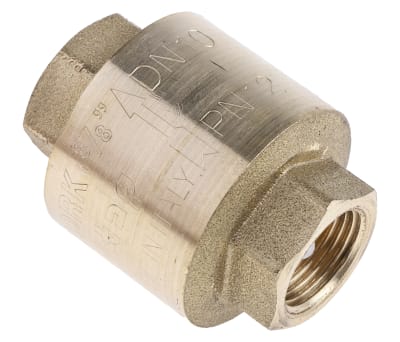 Product image for Spring loaded non return valve,3/8in BSP