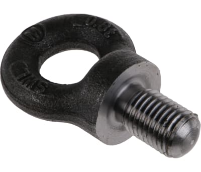 Product image for Eyebolt for lifting application,M16